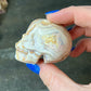 Mexico Crazy Lace Agate Skull