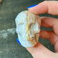 Mexico Crazy Lace Agate Skull