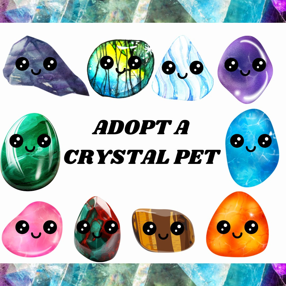 Adopt a crystal pet